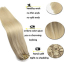 GOO GOO Human Hair Extensions Clip in Natural Ombre Ash Blonde to Golden Blonde and Platinum Blonde Remy Clip in Hair Extensions Straight Long 20 Inch 120g GOO GOO