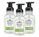 J.R. Watkins Foaming Hand Soap Pump with Dispenser, Moisturizing Hand Soap Foam, Alcohol-Free, Cruelty-Free, , Use for Kitchen or Bathroom, Eucalyptus, 9 fl oz,3 Pack Infinity Warehouse