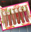 6Pcs Matte Liquid Lipstick Set,Dark Red Matte Lipstick Lip Stain Long Lasting 24 Waterproof Lip Gloss Gift Set ,Lipstick Sets for Women Lippies Lip Makeup Lipgloss Beauty Kit (Set01) evpct