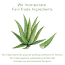 emerginC Blemish Control - Tinted Drying Spot Treatment with Salicylic Acid + Colloidal Sulfur to Improve the Appearance of Active Breakouts + Address Impurities (0.67 Ounce, 20 ml) EmerginC