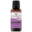 Plant Therapy Lavender Essential Oil 100% Pure, Undiluted, Natural Aromatherapy, Therapeutic Grade 30 mL (1 oz) Plant Therapy Essential Oils