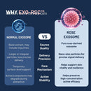 ASCE+ EXOBALM-SR2 Rose Exosome Night Cream 20ml – Anti-Aging Overnight Repair with Freeze-Dried Exosome Capsules | Wrinkle & Pigmentation Care, Deep Hydration, Firming | Korean Skincare by ExoCoBio Infinity Warehouse