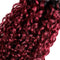 Ombre Burgundy Brazilian Curly Hair 1 Bundle, 100% Unprocessed Human Hair Bundle Deals Black to Dark Red Kinky Curly Hair Extensions 1B 99J Ombre Hair (24") ALISFEEL
