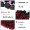 Ombre Burgundy Brazilian Curly Hair 1 Bundle, 100% Unprocessed Human Hair Bundle Deals Black to Dark Red Kinky Curly Hair Extensions 1B 99J Ombre Hair (20") ALISFEEL