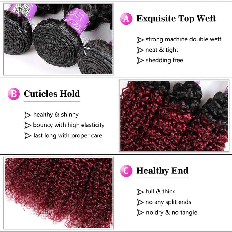 Ombre Dark Red Curly Weave Human Hair 3 Bundles 99J Brazilian Curly Hair 100g/Bundles Burgundy Kinky Curly Human Hair Extensions for Black Women (10"12"14") ALISFEEL