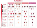 Burt's Bees 100% Natural Origin Moisturizing Matte Lip Crayon, Redwood Forest - 1 Crayon Burt's Bees