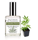 Demeter Fragrance Library 1 Oz Cologne Spray – Cannabis Flower Demeter Fragrance Library