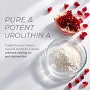 Urolithin A Supplement Gummies 500mg with Trans-Resveratrol, CoQ10 Mitochondrial & Cellular Energy Support for Healthy Aging, Muscle Strength & Longevity Vegan, Non-GMO, 60 Count Infinity Warehouse