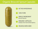 Organic Broccoli Sprout Capsules, Freeze-Dried: 150 Capsules Infinity Warehouse