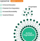 Liposomal Multivitamin Gummies for Men & Women, Orange Passion Fruit Flavor – 520 mg Liposomal Multi Complex with 14 Vitamins & Minerals, Immune Support & Antioxidant Defense – 30 Servings Infinity Warehouse