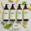 Pharmacopia Verbena Shampoo - Natural Hair Care with Plant Based & Organic Ingredients Aloe Vera, Jojoba Oil, Coconut Oil, and Chamomile Extract - Vegan, Cruelty Free, No Parabens or Sulfates, 16 oz Infinity Warehouse