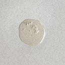 Pharmacopia Hotel Argan Oil Shampoo – Natural Hair Care with Plant Based & Organic Ingredients - Aloe Vera wtih Green Tea and Melon Essence - Vegan, Cruelty Free, No Paraben, 16.2 oz Infinity Warehouse