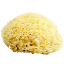 Neptune Natural Sea Wool Sponge - All Natural Honeycomb Renewable Sea Sponge, Jumbo, 6.5-7.5 inches Neptune Natural