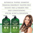 Tea Tree Mint Shampoo and Conditioner - This set contains Pure Tea Tree Oil & Peppermint Oil - Fights Hair Loss, Promotes Hair Growth, Fights Dandruff, Lice and Itchy Scalp - for Men and Women Sulfate Free - 16 fl oz x 2 First Botany