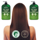Tea Tree Mint Shampoo and Conditioner - This set contains Pure Tea Tree Oil & Peppermint Oil - Fights Hair Loss, Promotes Hair Growth, Fights Dandruff, Lice and Itchy Scalp - for Men and Women Sulfate Free - 16 fl oz x 2 First Botany