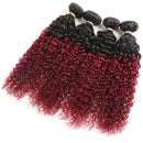 Ombre Dark Red Curly Weave Human Hair 4 Bundles 99J Brazilian Curly Hair 100g/Bundles Burgundy Kinky Curly Human Hair Extensions for Black Women (14"16"18"20") ALISFEEL