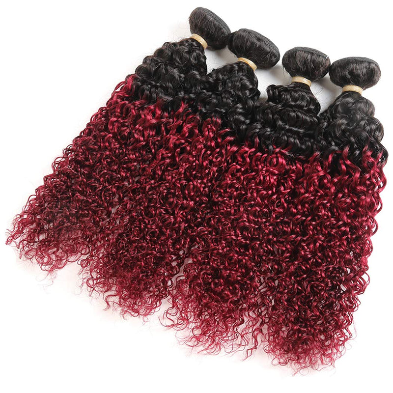 Ombre Dark Red Curly Weave Human Hair 4 Bundles 99J Brazilian Curly Hair 100g/Bundles Burgundy Kinky Curly Human Hair Extensions for Black Women (14"16"18"20") ALISFEEL