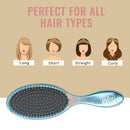 Wet Brush Princess Wholehearted Original Detangler Brush - Disney's Collection Cinderella, Blue - All Hair Types - Ultra-Soft IntelliFlex Bristles Glide Through Tangles with Ease Wet Brush Store