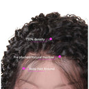ALLRUN Curly Lace Front Human Hair Wigs Pre Plucked With Baby Hair 4x4 Lace Closure Curly Wigs Human Hair 150% Density Brazilian Curly Hair Wigs For Black Women(20 Inch) ALLRUN Store