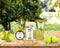 Luxury Spa Gift Basket, PURE Spa Basket -Bath and Body Gift Set. Pear Bath Set Includes Bubble Bath, Body Scrub, Shower Gel, more!