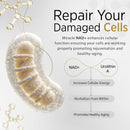 Miracle NAD with Urolithin A Supplement, Nicotinamide Riboside NR, NAD+, Trans Resveratrol for Men and Women - Healthy-Aging, Cellular Energy & Repair - 3rd Party Tested - 60 Capsules Infinity Warehouse