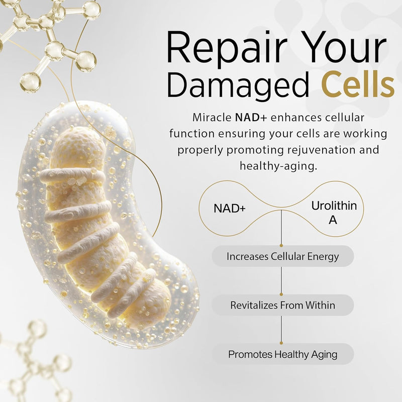 Miracle NAD with Urolithin A Supplement, Nicotinamide Riboside NR, NAD+, Trans Resveratrol for Men and Women - Healthy-Aging, Cellular Energy & Repair - 3rd Party Tested - 60 Capsules Infinity Warehouse