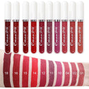 evpct 10Pcs Waterproof Liquid Matte Matt Lipsticks Set Matt Liquid,CmaaDU Dark Red 24 Hour Long Lasting Matte Lipstick Lip Stain Gloss Makeup Sets for Women Lippies labiales matte larga duracion 24 15 evpct
