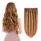 5 Pieces 12 Remy Clip in Hair Extensions Human Hair Light Brown Mixed Blonde Highlights - Beauty Silky Straight Short Thick Real Hair Extensions for Women Fashion (12 inches, 6/613, 60 grams) Amygirl