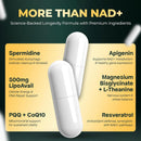 UPLIFE NAD+ Supplement 1,372mg Liposomal NAD+ with CoQ10, Resveratrol, Spermidine, L-Theanine, Apigenin & PQQ NMNH Alternative Booster for Cellular Energy, Healthy Aging, Immune Health 120 Capsules Infinity Warehouse