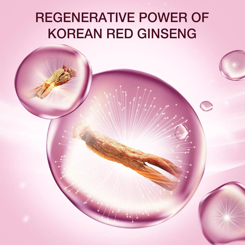 Donginbi Red Ginseng Daily Defense Special Set - Essence & Antioxidant Cream for Face, Korean Red Ginseng Skin Care Infinity Warehouse