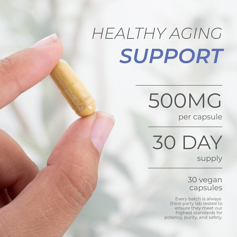 Neurogan Fisetin Supplement 500MG - 30 Count 98% Pure | Healthy-Aging & Brain Health Fisetin Capsules | Brain Supplements for Memory and Focus, Senolytic Support | Natural Polyphenols, Non-GMO Infinity Warehouse
