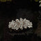 LUX ACCESSORIES Rose Gold Clear Crystal Rhinestones Hair Clip LUX ACCESSORIES