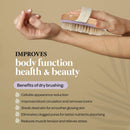 MainBasics Natural Bristle Dry Body Brush Exfoliating Body Scrubber with Massage Nodules for Dry Skin, Cellulite and Lymphatic Drainage MainBasics