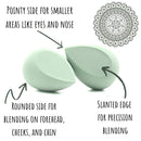 Green Tea Premium Quality Makeup Sponges, Soft Microfiber Blenders, 2 pack Dynec