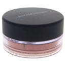Bare Minerals Blush Highlighters, Golden Gate, 0.03 Ounce (1 Count) bareMinerals