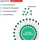 Liposomal Vitamin C Sugar-Free Gummies - 500mg, 60 Gummies, 30 Servings, Immunity Booster, Collagen Support, Antioxidant, Eco-Friendly Jar- Strawberry Guava Flavor Infinity Warehouse