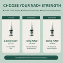 NAD+ Spray | 100 Sprays | Nicotinamide Adenine Dinucleotide | NAD+ | 100% Pure & USA Made | 10mg Per Spray to Support Wellbeing Infinity Warehouse