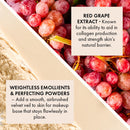 ICONIC LONDON Velvet Smooth Pore-Refining Primer | Whipped, Balmy Primer, Diffuses Pores, Cruelty-Free, Vegan Makeup, 1.01 Fl oz Infinity Warehouse