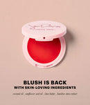 Jillian Dempsey Cheek Tint Multi Use Natural Blush for Cheeks Lips VeganCruelty FreeOrganic 0.11 Oz, Scarlet, 1 Count Jillian Dempsey