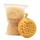Spongentle Deep Cleansing Body Loofah Sponge, Natural Colors, for Bath and Shower, Multiple Textures for Gentle and Deep Exfoliation, Generous and Rich Lather, (Pack of 3) Sunlite Sports