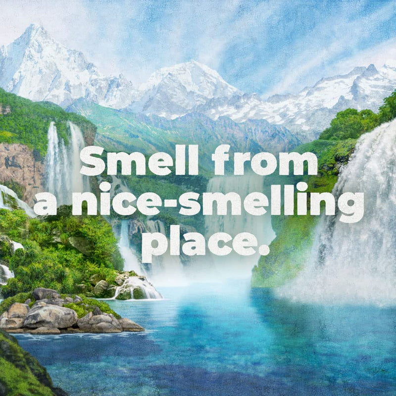 Irish Spring Original Clean Body Wash, 30 Oz Pump (Pack of 4) Infinity Warehouse