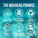 Waxhead Lip Sunscreen - Zinc Oxide Lip Balm Sunscreen for Lips, Lip Therapy, Lip SPF, Lanolin Lip Balm, Shea Butter Lip Balm, Sunscreen Lip Balm, Organic Lip Balm (4 pack, Mint) Waxhead Sun Defense Foods