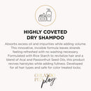 Orlando Pita Play Highly Coveted Dry Shampoo, Absorbs Oil, Adds Fullness, No Parabens, No SLS/SLES, 5.8 Oz ORLANDO PITA PLAY