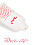 EVO Mane Attention Protein Treatment ACE