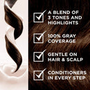 Clairol Nice'n Easy Permanent Hair Dye, 6G Light Golden Brown Hair Color, 1 Count Clairol