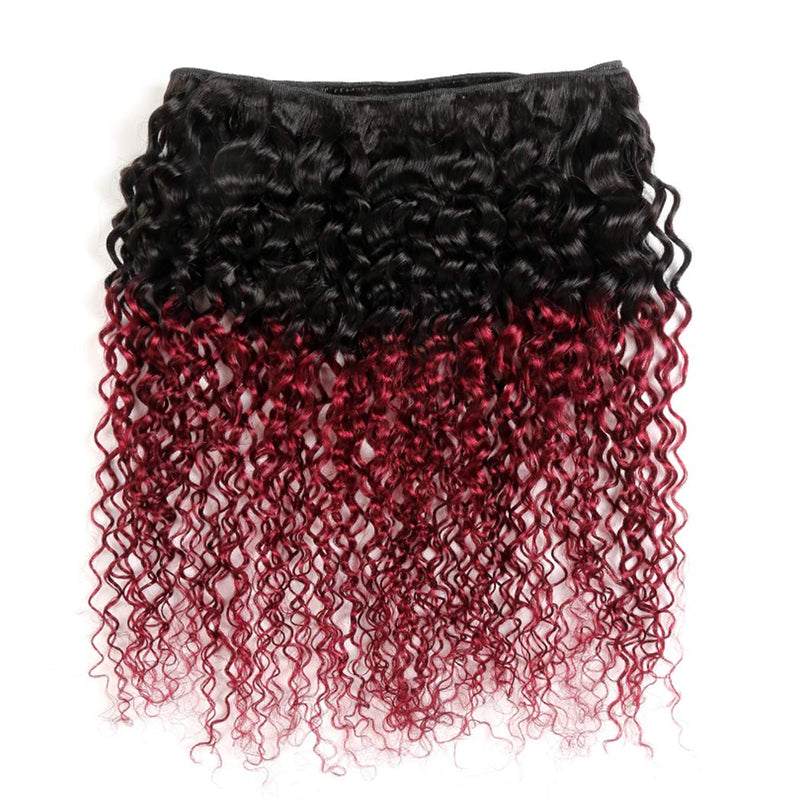 Ombre Burgundy Brazilian Curly Hair 1 Bundle, 100% Unprocessed Human Hair Bundle Deals Black to Dark Red Kinky Curly Hair Extensions 1B 99J Ombre Hair (16") ALISFEEL