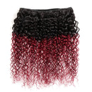 Ombre Burgundy Brazilian Curly Hair 1 Bundle, 100% Unprocessed Human Hair Bundle Deals Black to Dark Red Kinky Curly Hair Extensions 1B 99J Ombre Hair (16") ALISFEEL