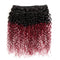 Ombre Dark Red Curly Weave Human Hair 4 Bundles 99J Brazilian Curly Hair 100g/Bundles Burgundy Kinky Curly Human Hair Extensions for Black Women (14"16"18"20") ALISFEEL