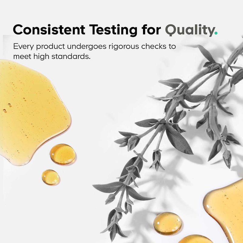 Amen Spermidine Supplement - Spermidine Trihydrochloride Pills with Vitamin C Ascorbic Acid - Only 1 Capsule Per Serving - Vegan, Non-GMO, Gluten-Free - 30 Capsules Infinity Warehouse