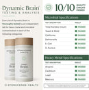 Stonehenge Health Dynamic Brain | Bacopa Supplement for Memory and Focus Infinity Warehouse